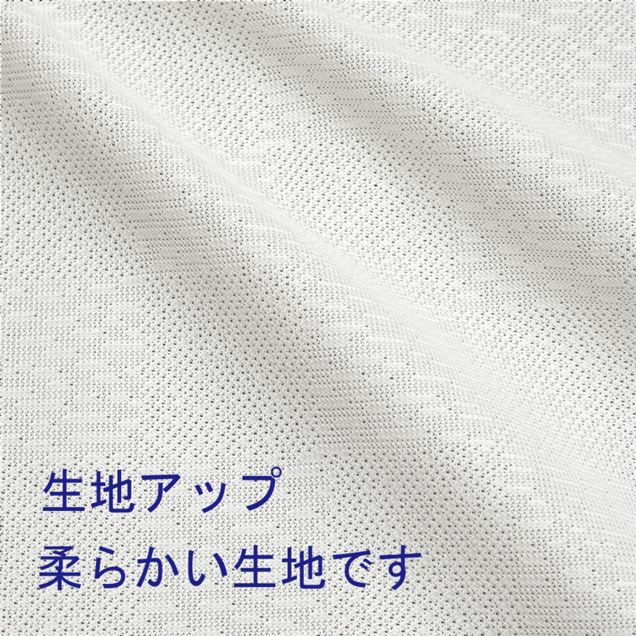 【受注生産】【のれん】伊藤若冲　隠元豆・玉蜀黍図　幅85ｘ丈150cm 91262