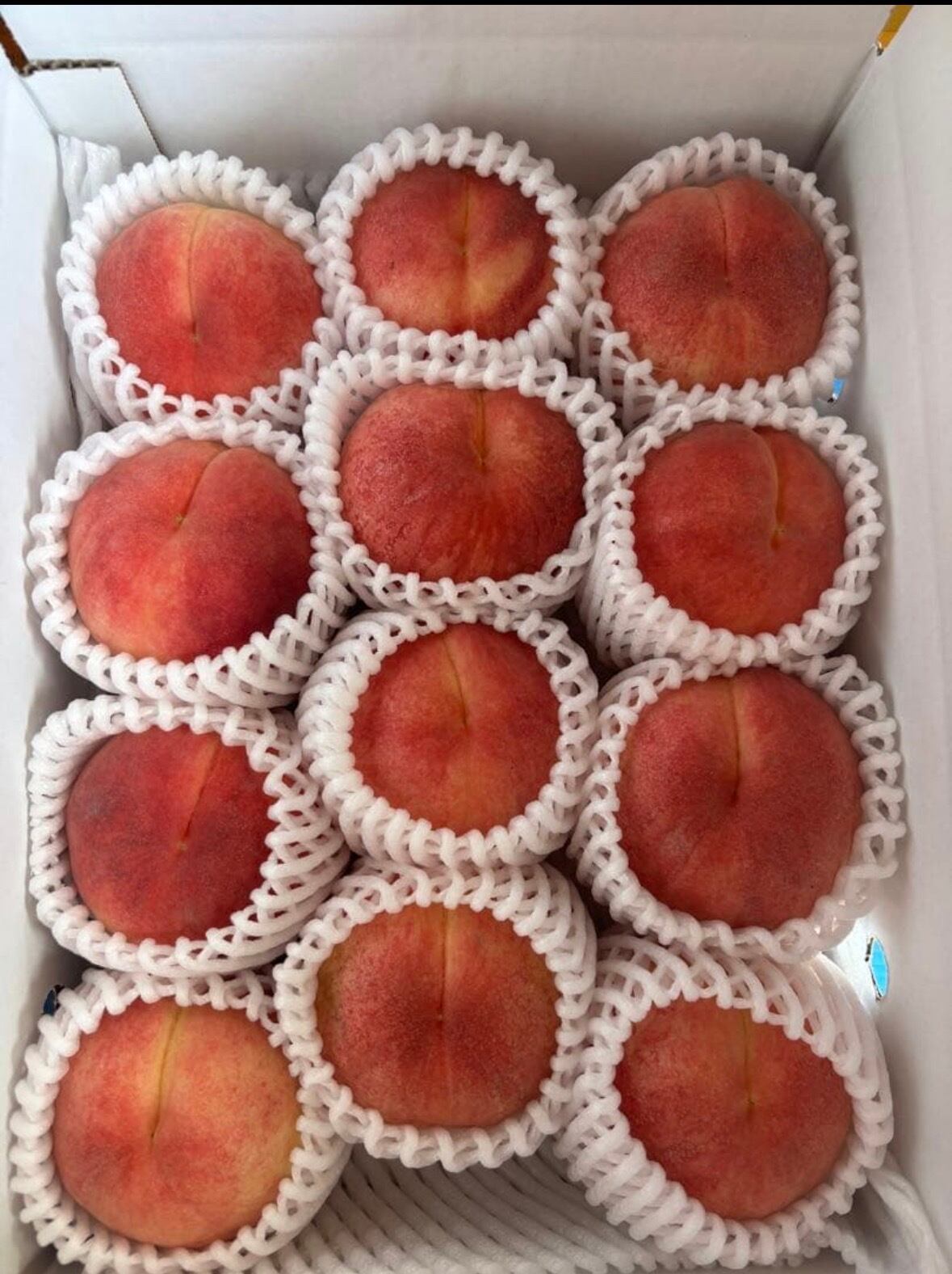 はつひめ 家庭用 3KG | 福島の桃農家 ﾍﾟｼｪｴﾗ