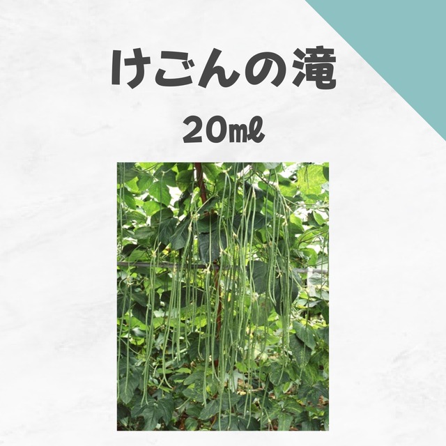 けごんの滝　ささげ種子・20ml
