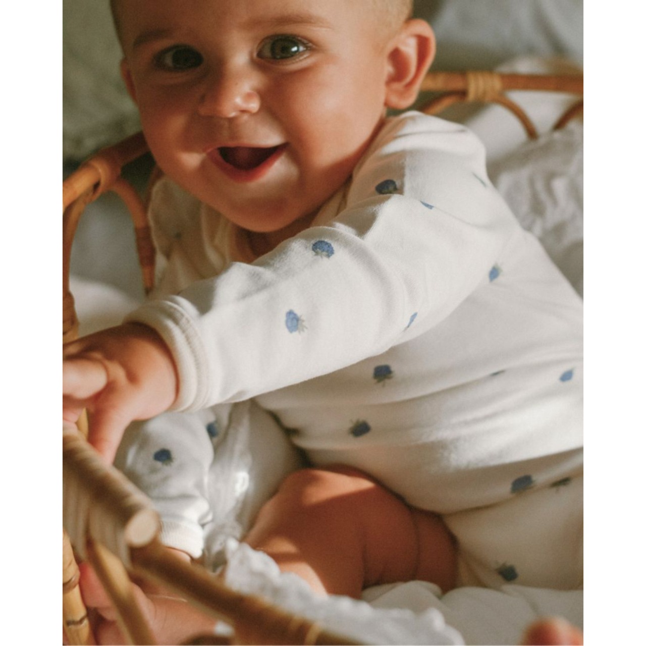 NorthBaby　Blueberry Organic Body