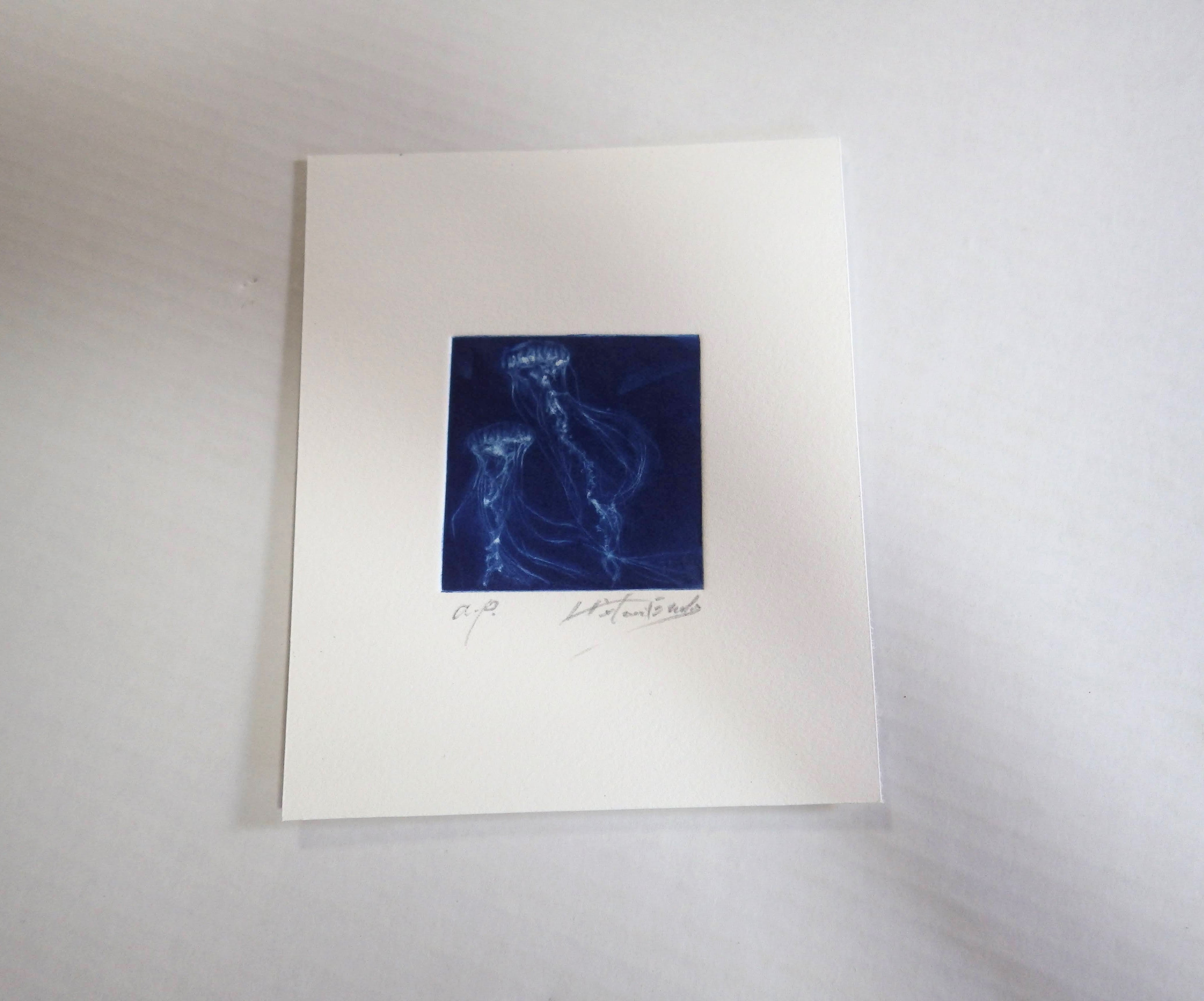 銅版画 海 『クラゲ』 | hitomi endo printing