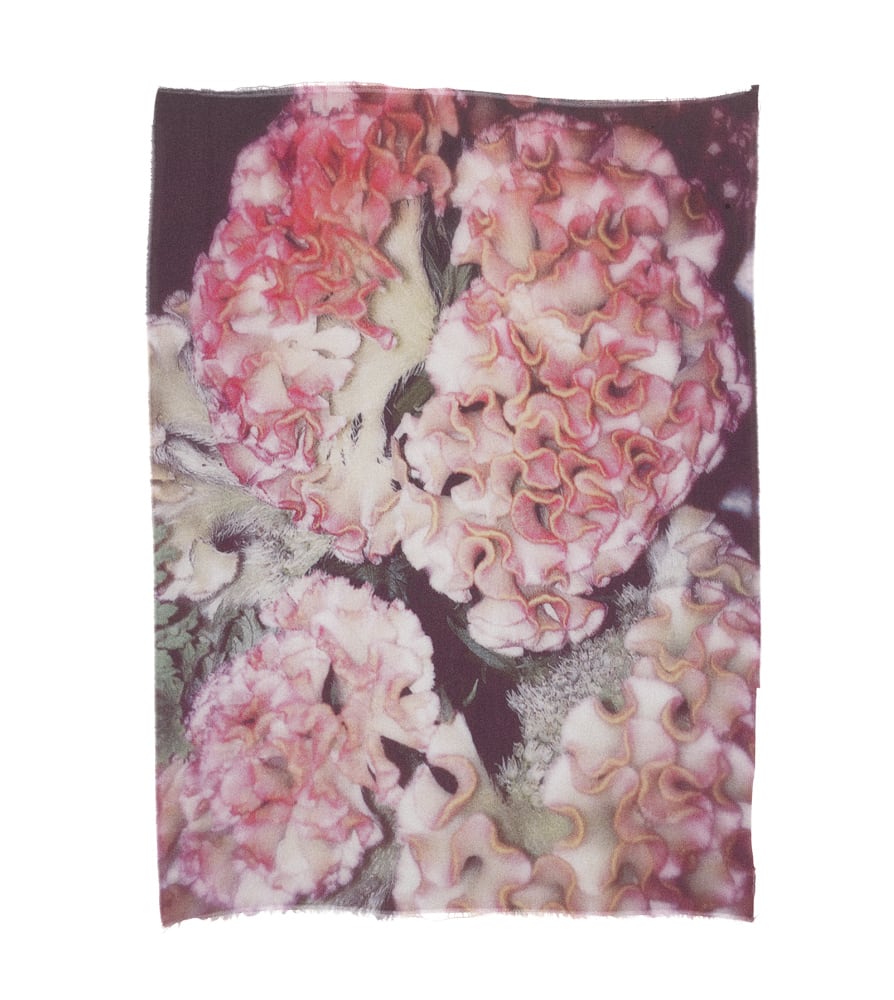 雲隠れ温泉行 Kumogakure onsen　村上仁一　限定700　直筆サイン 雲隠れ温泉行 Kumogakure onsen 村上仁一 限定700 直筆サイン