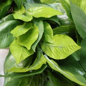 フラダンス 小物 まとめ売り 70点以上 セット レイ フラワーレイ クウペエ ネックレス シェルレイ ククイ パレオ イリマ 白 黄 緑 紫 赤 ピンク カラフル アクセサリー ヘアクリップ ヘアアクセサリー タヒチアン ホワイト系 レッド系 ピンク系