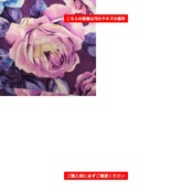 社交ダンス 衣装 Chacott ROYAL DANCE チャコットロイヤルダンス Chacott チャコット スカート レッスンウェア パープル系 花柄 植物柄 紫 青 水色 白 ピンク 華やか 鮮やか かわいい おしゃれ 上品 大人っぽい ブルー系 ピンク系 ホワイト系 ダンス 練習 レッスン