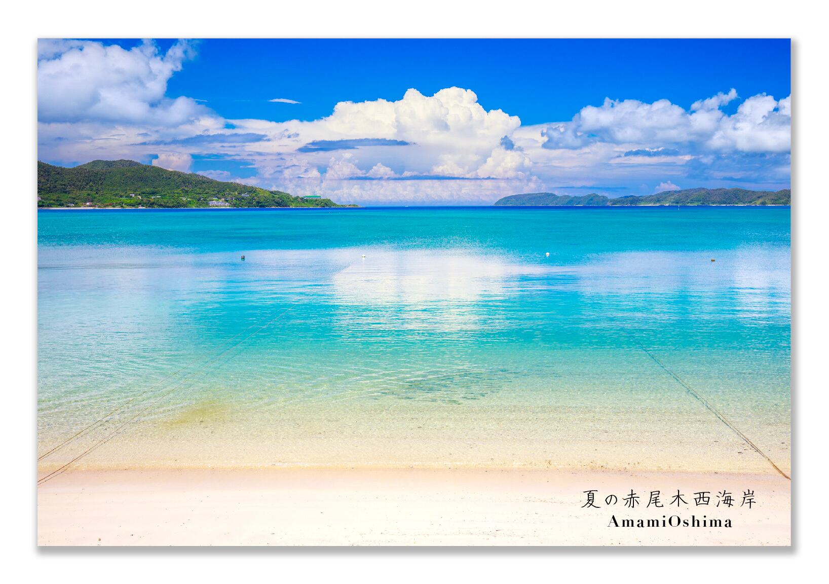 奄美ポストカード「夏の赤尾木西海岸」2026