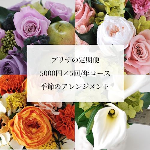 ﾌﾟﾘｻﾞの定期便5000ｺｰｽ　季節のｱﾚﾝｼﾞﾒﾝﾄ