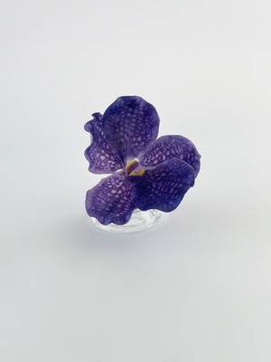 Mini 003