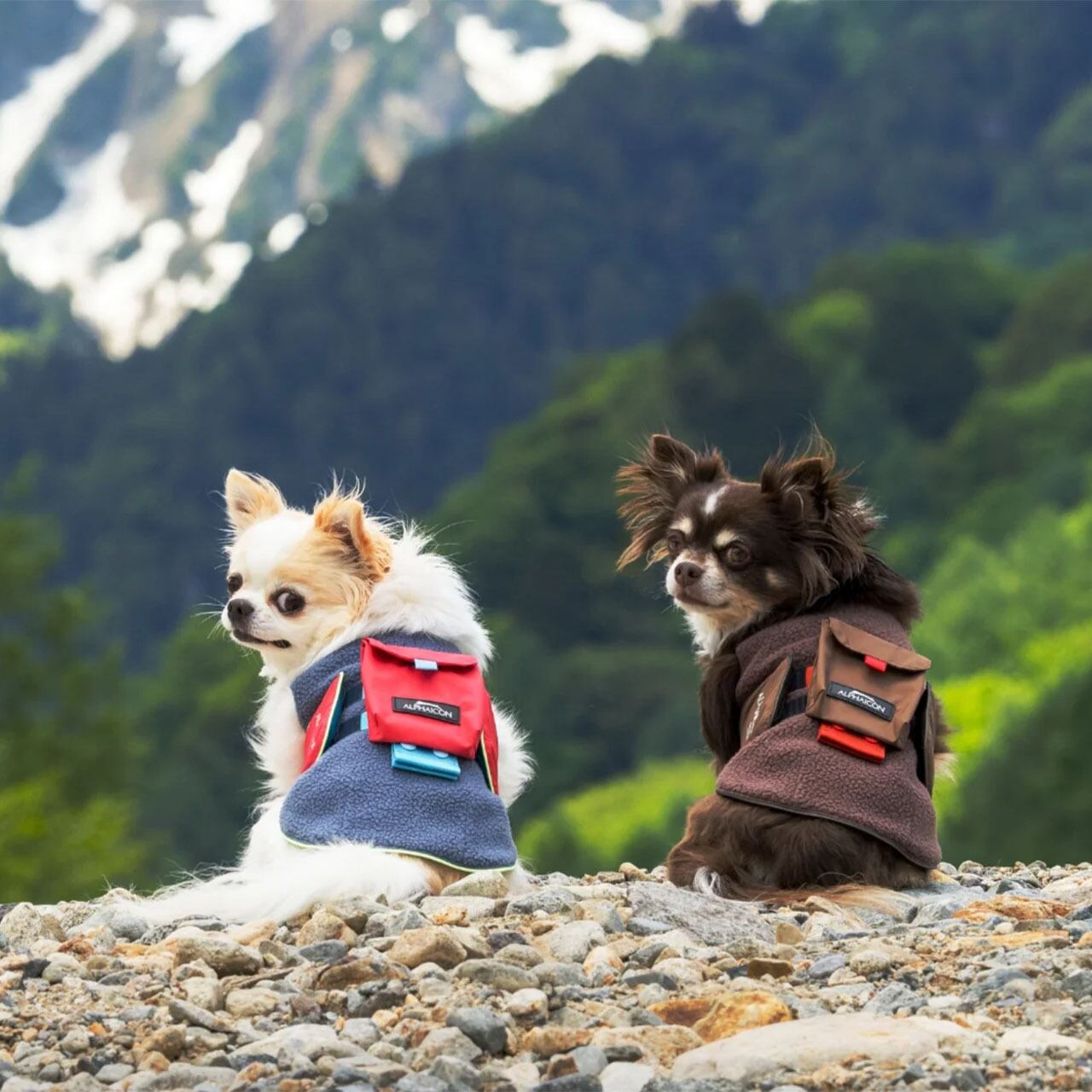 ALPHAICON [アルファアイコン] AIR LINERPOCKET [25ALP] エアライナー