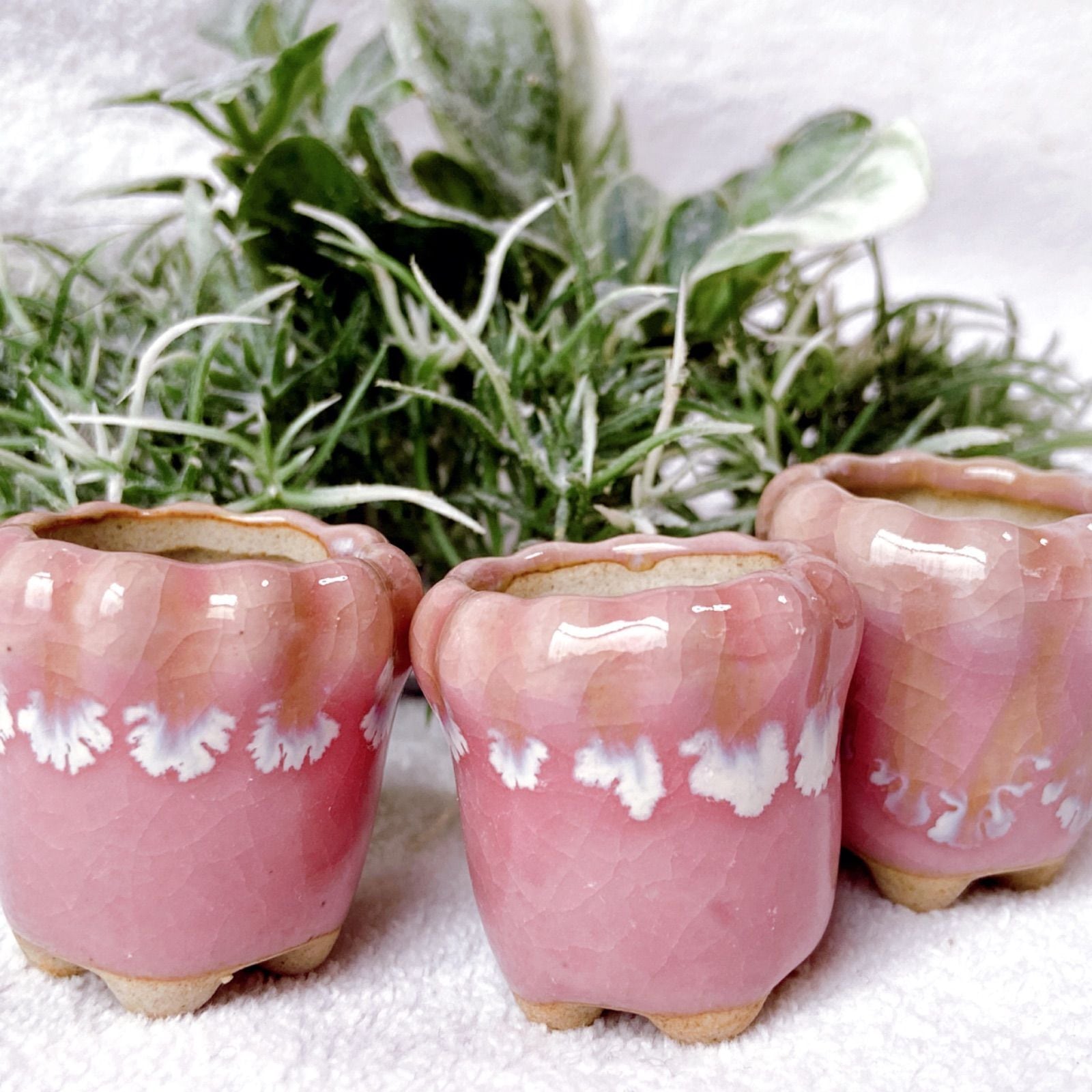 ミニチュアサイズの陶器製植木鉢 3点セット】 ミニ盆栽やコケ盆栽など