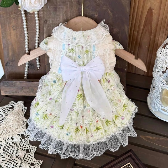 lily ribbon dress