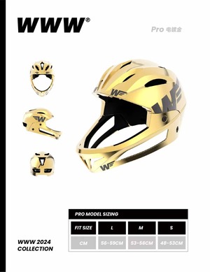 - WWW HELMET 『PRO Plating』-