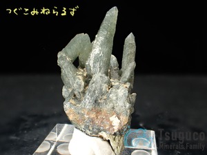 プレーズ・クォーツ 石英 緑水晶 Prase Quartz ギリシャ TM-0025
