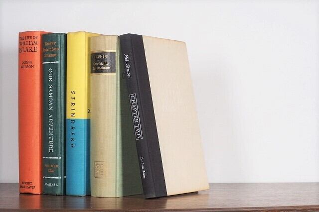 【SPECIAL PRICE】【DS006】STIRNER -5set- /display book