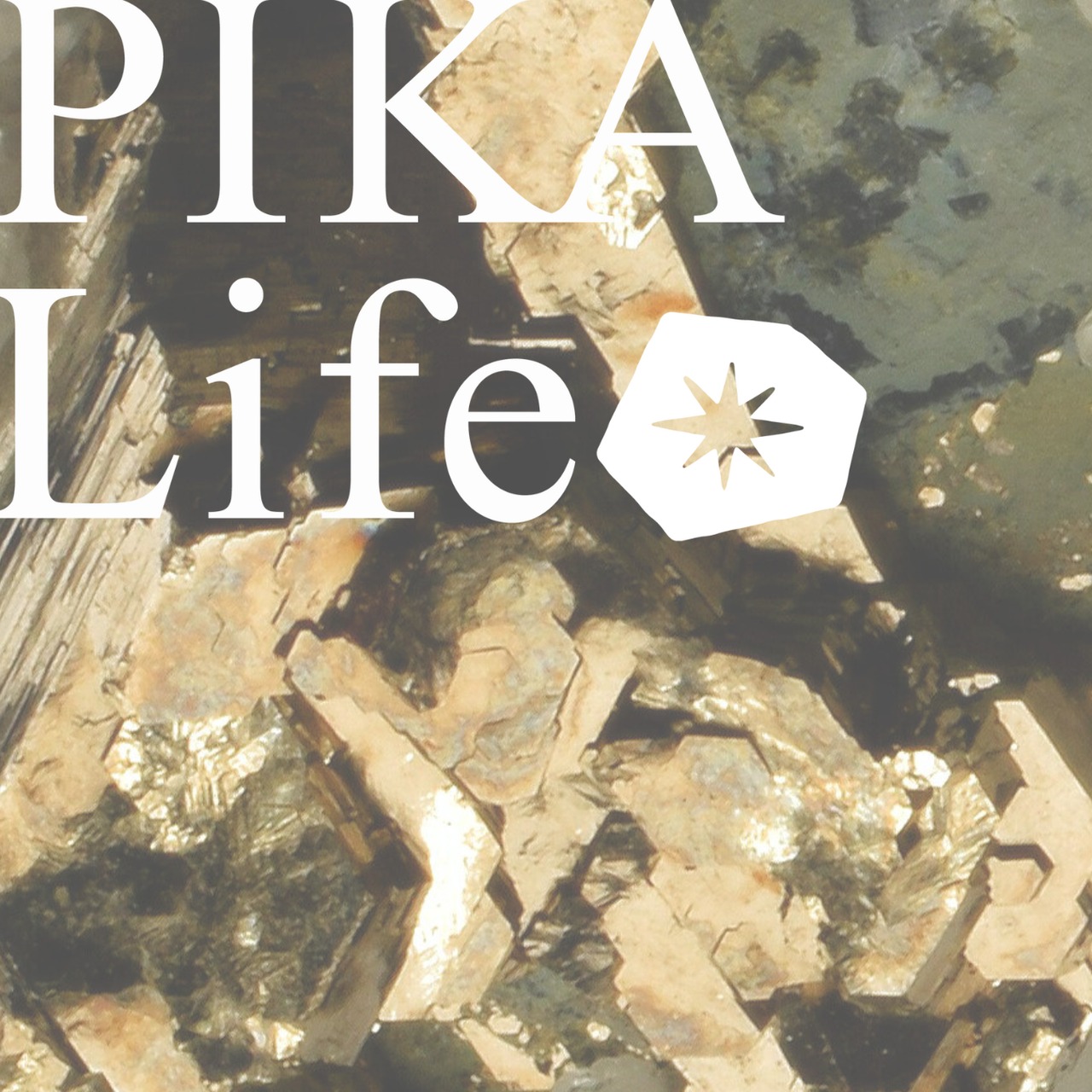 ⭔ お客様専用ページ ⭔ Natsu8様　