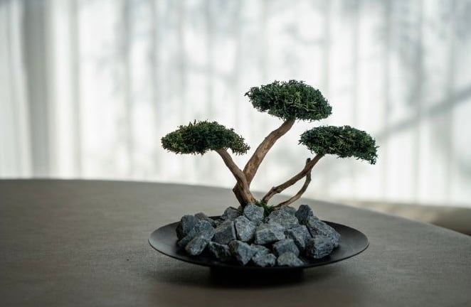 Zen Stone Bonsai / 石と盆栽 | zenvoid