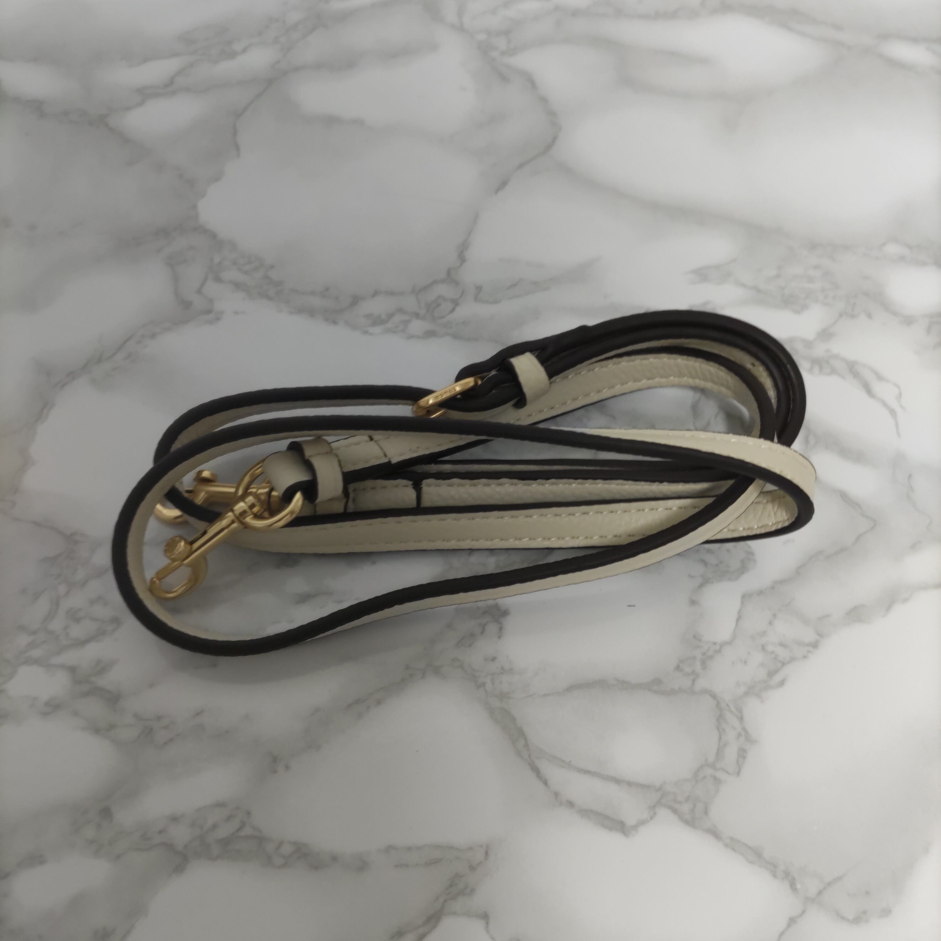 COACH コーチ ダンシング キトゥン ミニ ローワン サッチェル  