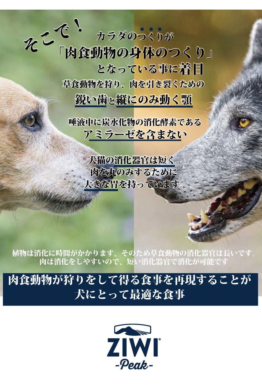 お試し】ZIWI サンプル 3種(ビーフ・チキン・ラム)【各2袋 お試し】ZIWI サンプル 3種(ビーフ・チキン・ラム)【各2袋