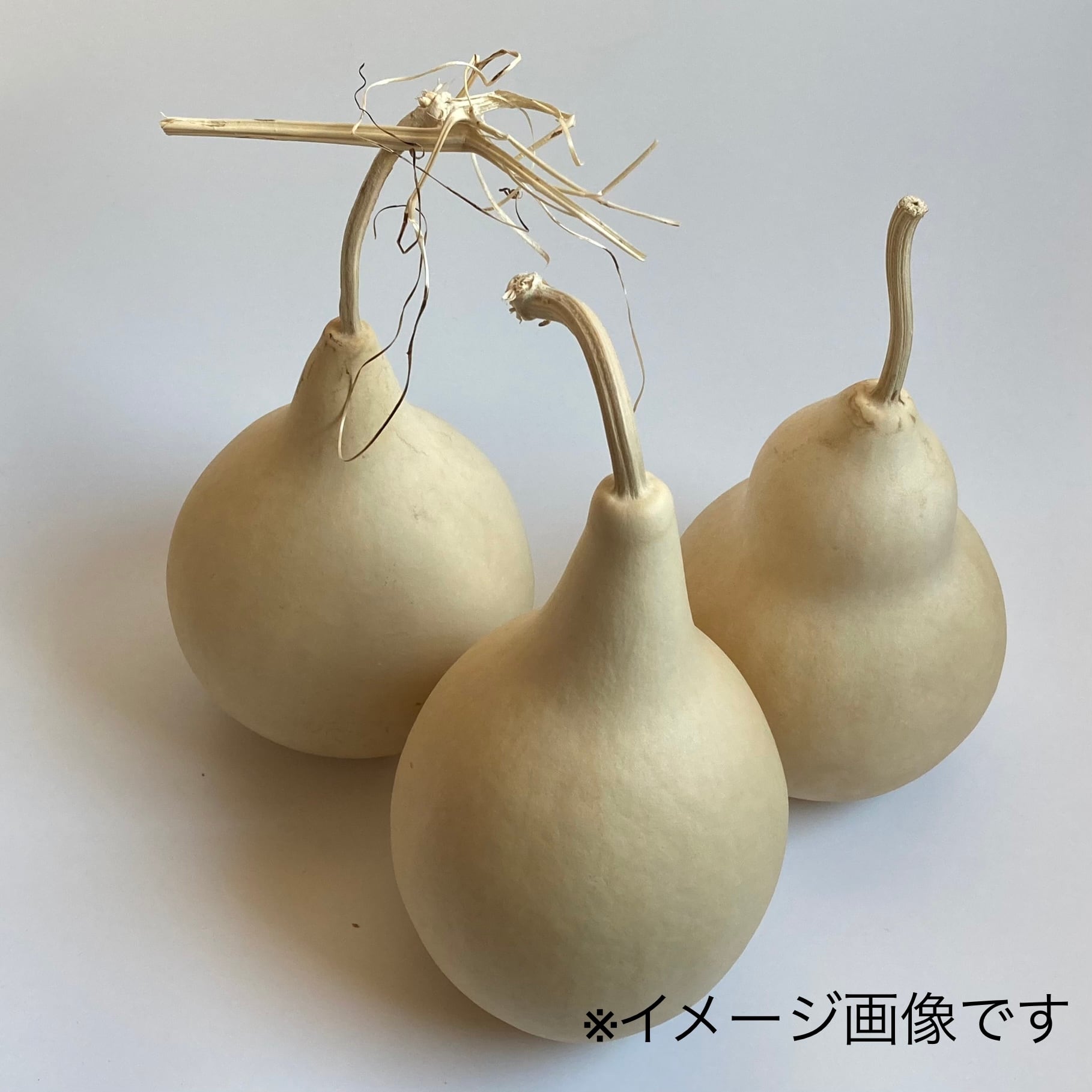 ひょうたんランプ制作キット L | ひょうたんランプ専門店／奥入瀬