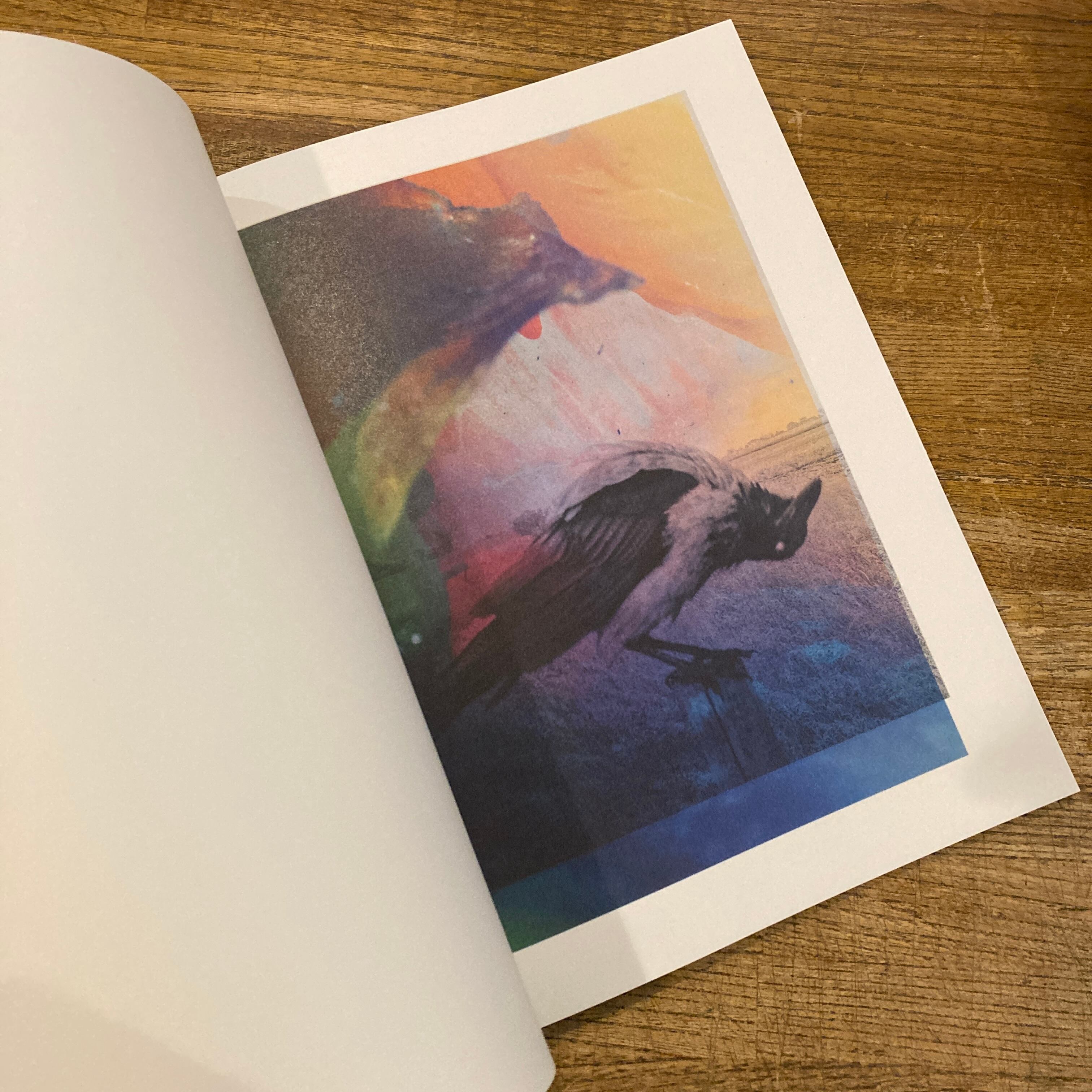 Magnificent Failure / Stephen Gill | 百年