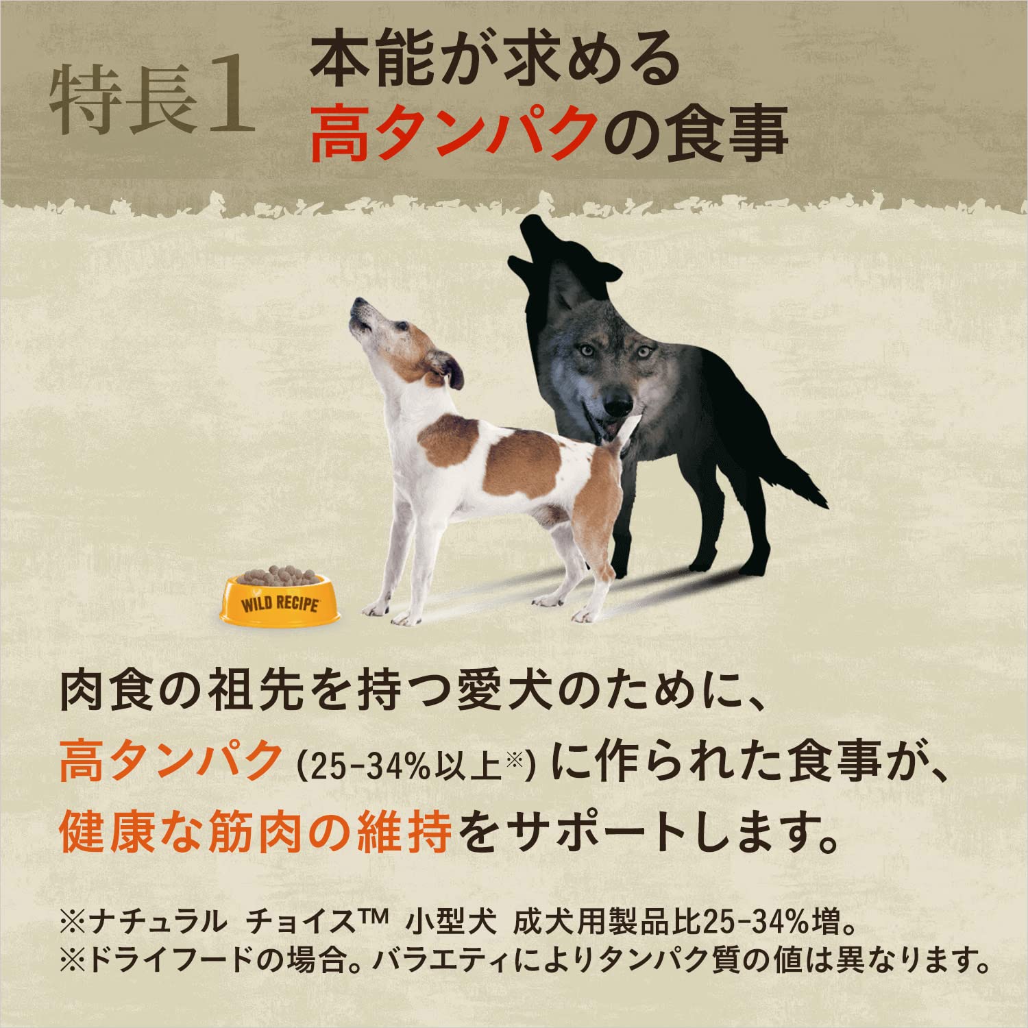 ニュートロ ワイルド レシピ [超小型犬-小型犬用] 成犬用 ビーフ 4kg