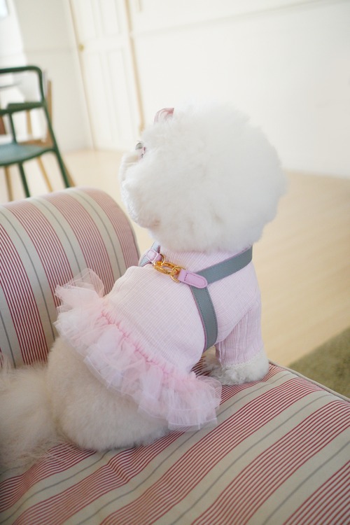 VV harness 2tone スイートピンク