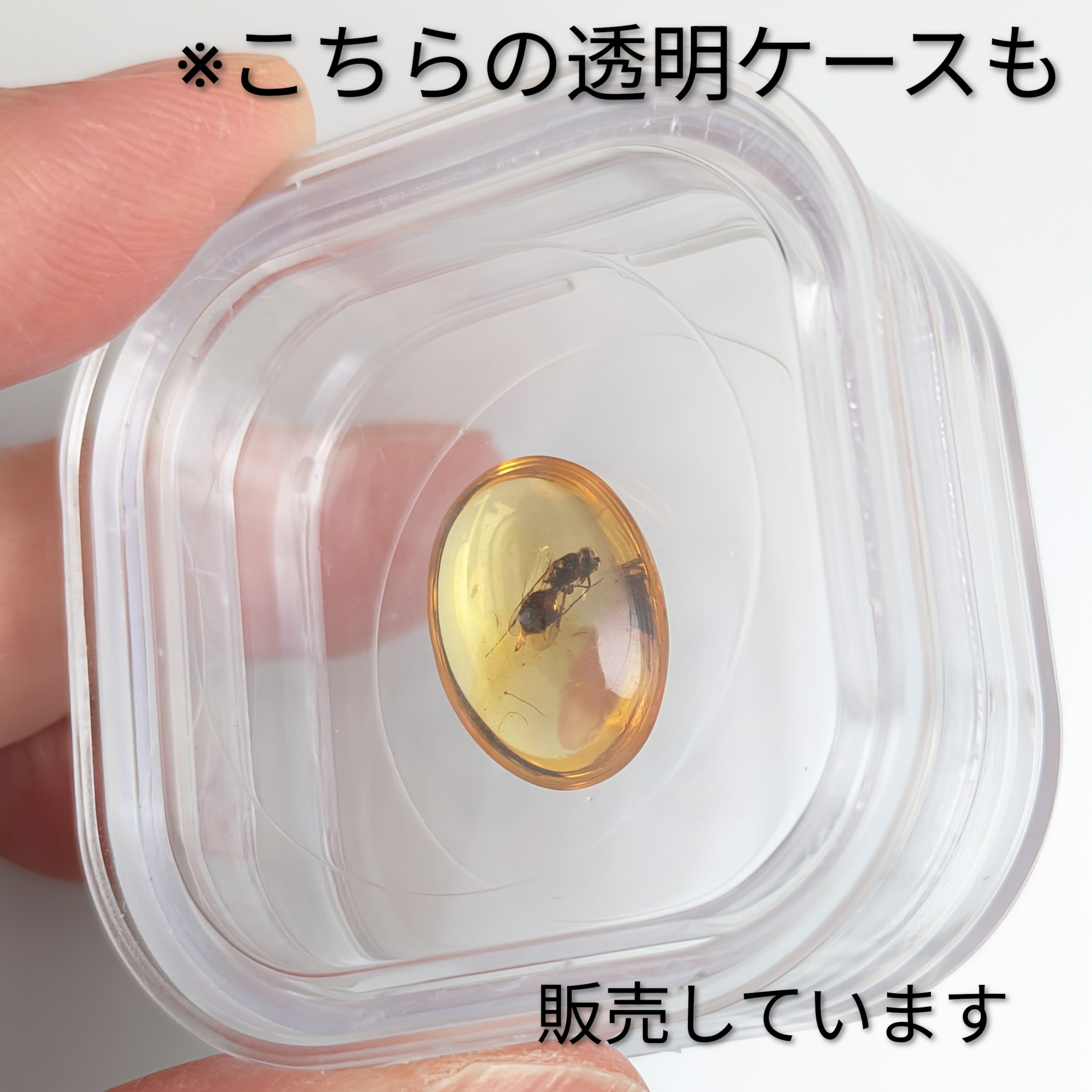 虫入り琥珀（蜂？/バーマイト)ルース ミャンマー産【2.01ct
