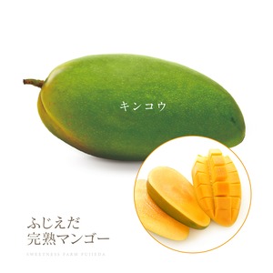 特価１0%OFF！【キンコウ】マンゴーの日 大玉SP ～7/28迄