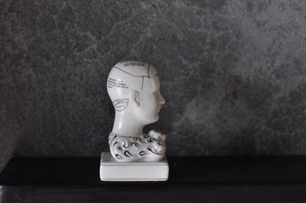 Phrenology Head