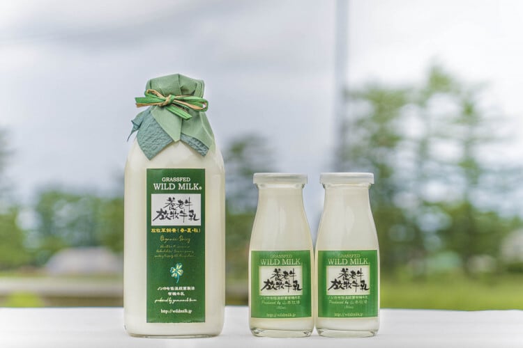 送料無料》【絶品?北海道の有機JAS認証】養老牛放牧牛乳 180ml×6本