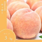 長野県産】ワッサー（2kg） | 西村青果オンラインストア
