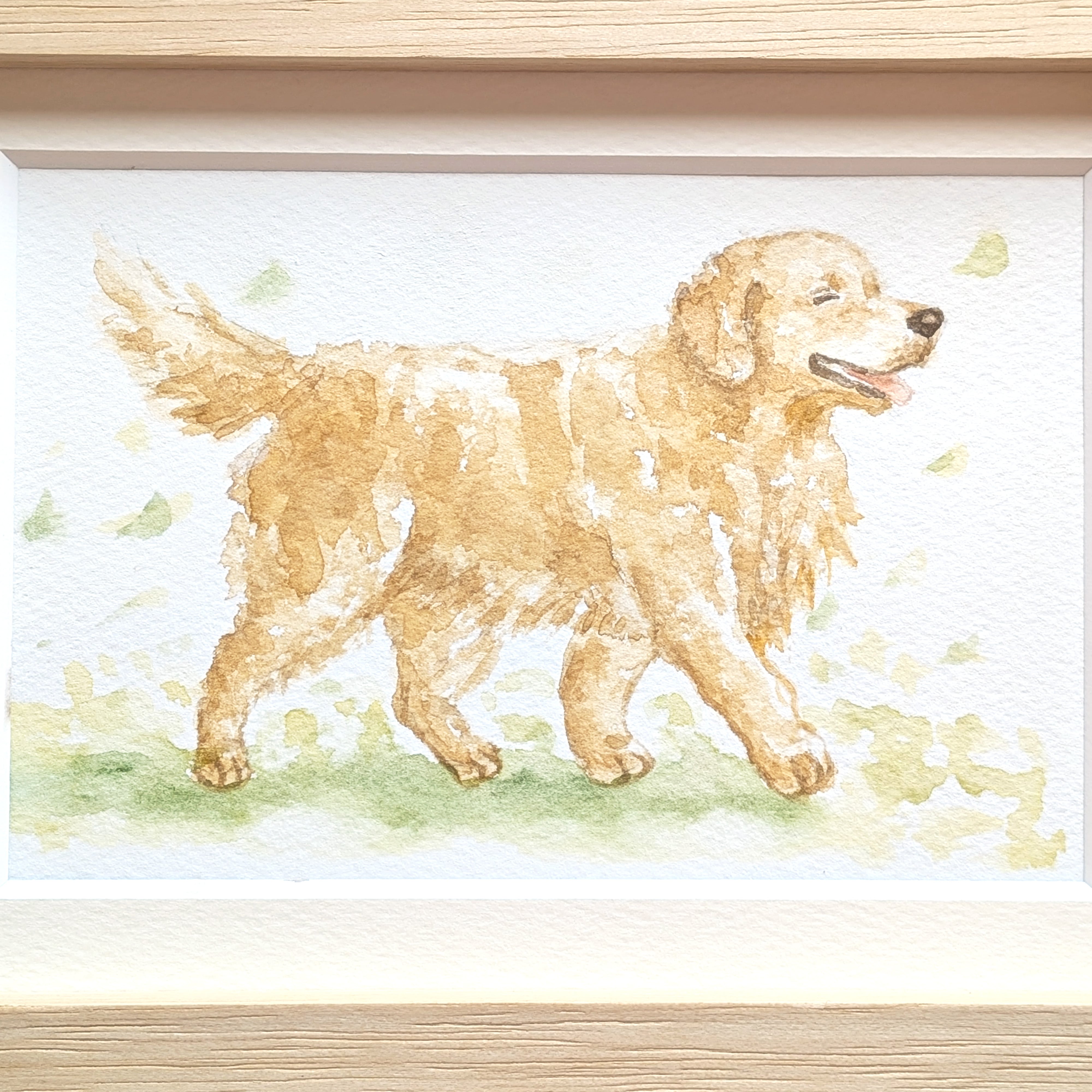 山本ばう～犬の水彩画～