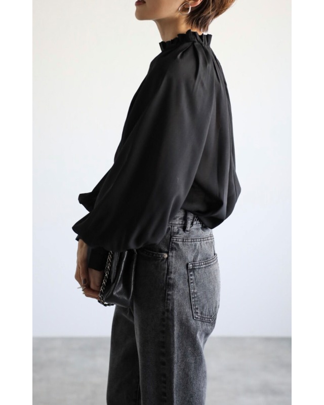 ボリュームスリーブシアーブラウス