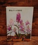 野生ランの栽培