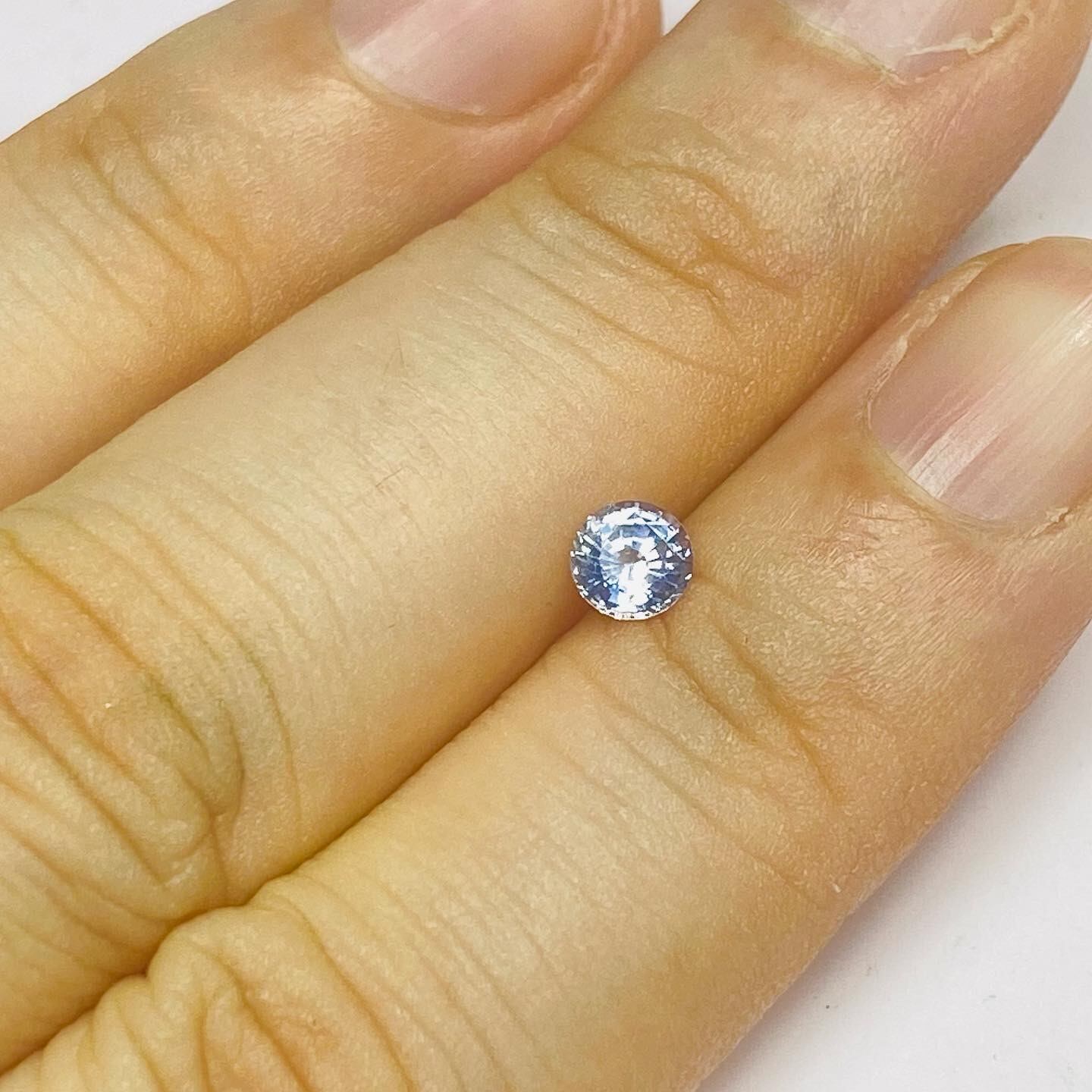 ソライロアサガオ　サファイア1