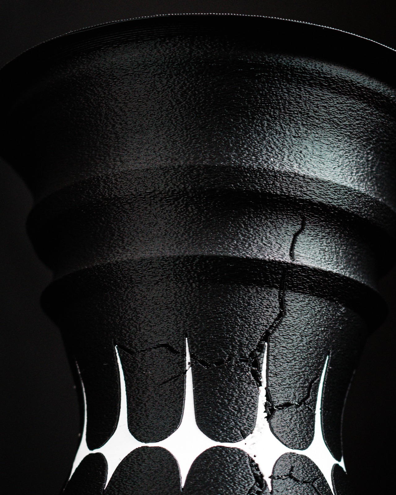 【DROP04 限定モデル】Stratam var. calix ssp. Queen（鉢プレートセット）