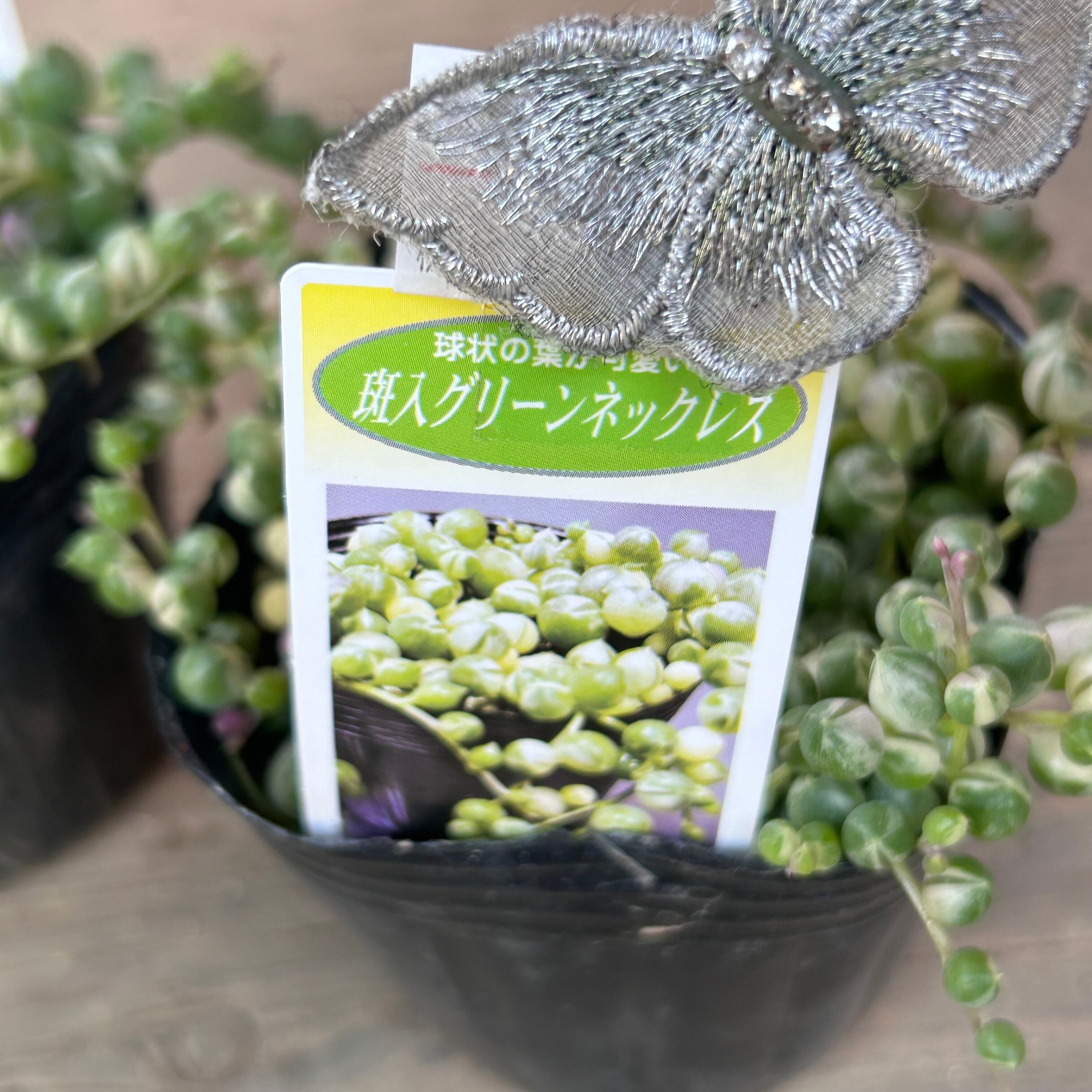 b0ff22460409c3bff87fc2a293e00e