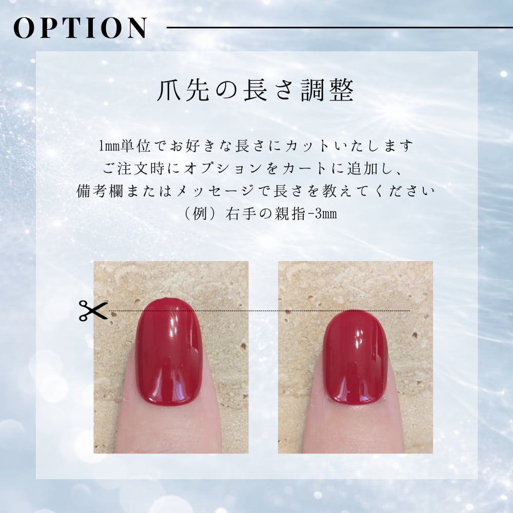 専用出品 ネイルチップ ネイルチップ 専用ページ 1/8発送 Qoo10] 【公式通販】