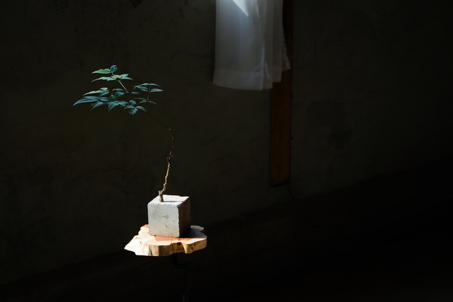 一枚板のミニサイドテーブル No.13 樹種：伊吹