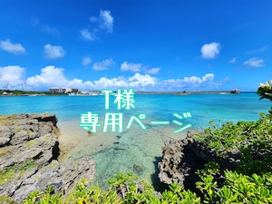 T様専用ページ