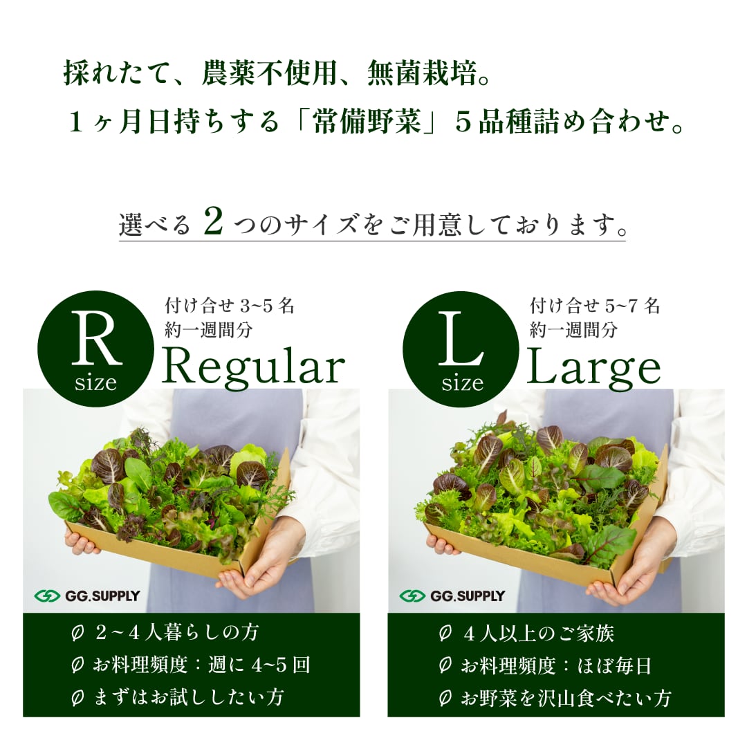 最上級の野菜宅配　週1定期便│Large│初回¥1,090　オンラインショップ