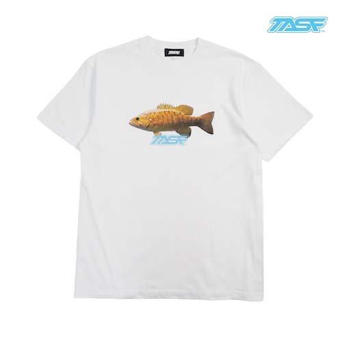 TASF / スモールマウスTee / White