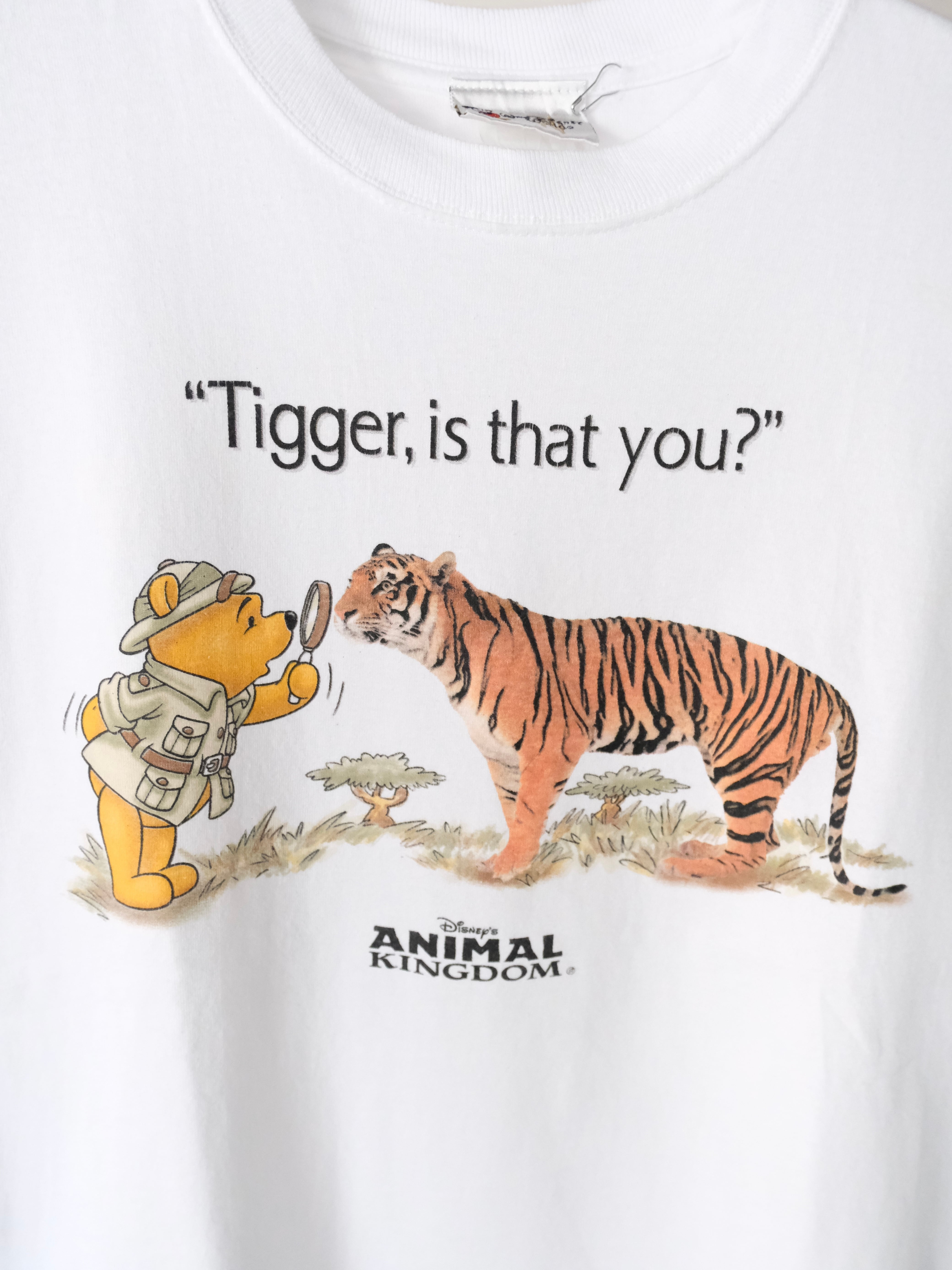 Used Disney's ANIMAL KINGDOM 