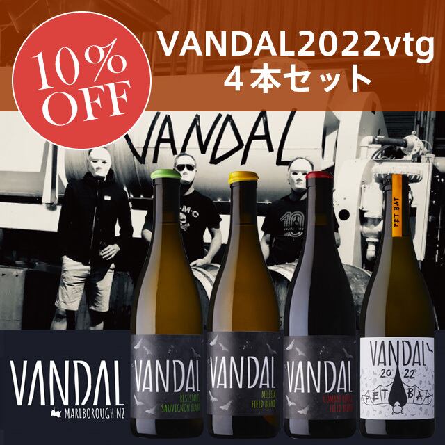 VANDAL 2022vtg 4 Pieces Set / ヴァンダル2022ヴィンテージ4本セット 