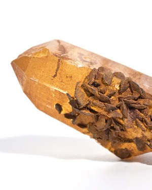 Himalayan Golden Quartz ハシュピ鉱山産 ⭔ SINGLE POINT
