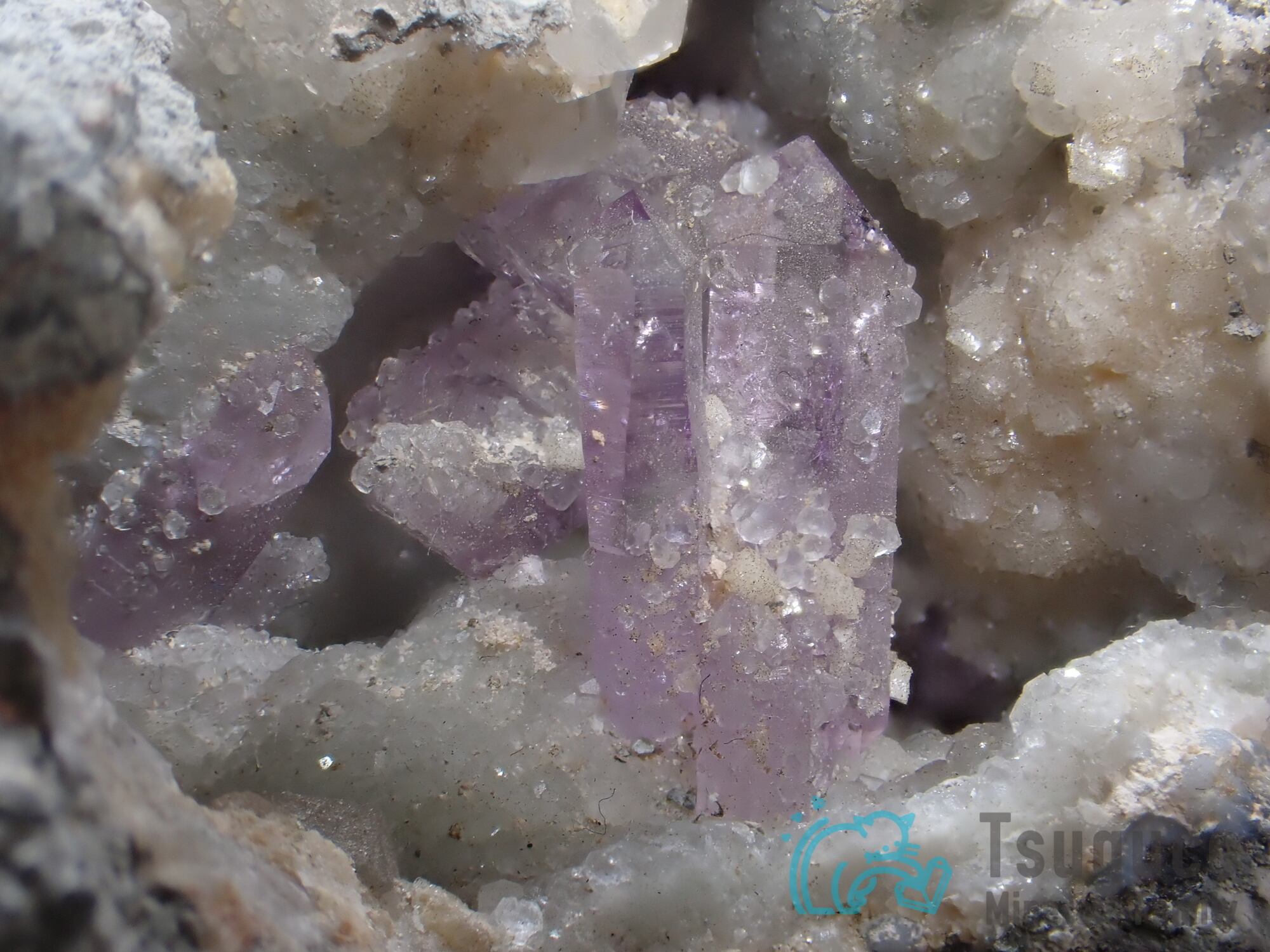 アメシスト アメジスト 紫水晶 イタリア TM-662 | Pay ID