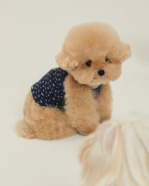 【予約】[ thesallyslaw ] Chloe Top｜Twilight Floral