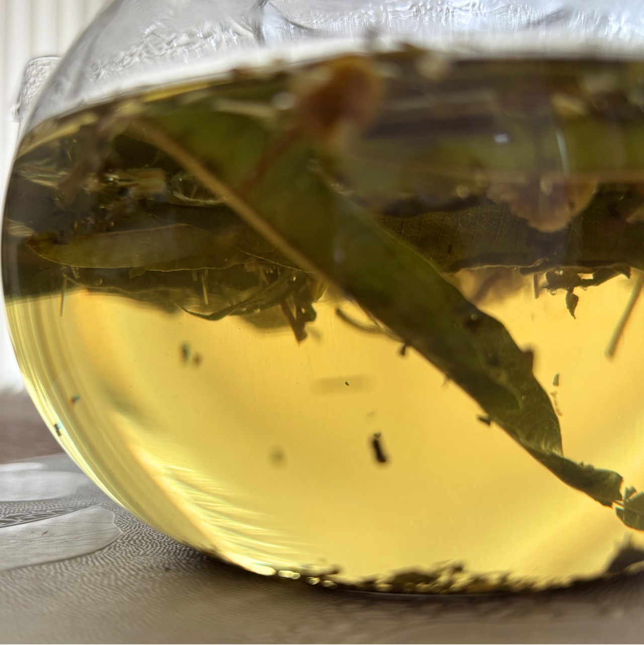 春分／３６５ブレンド