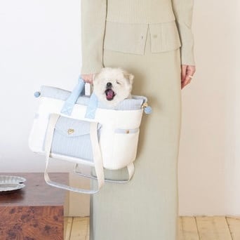 予約【seoru】Letter Bag ( blue ) | ropet