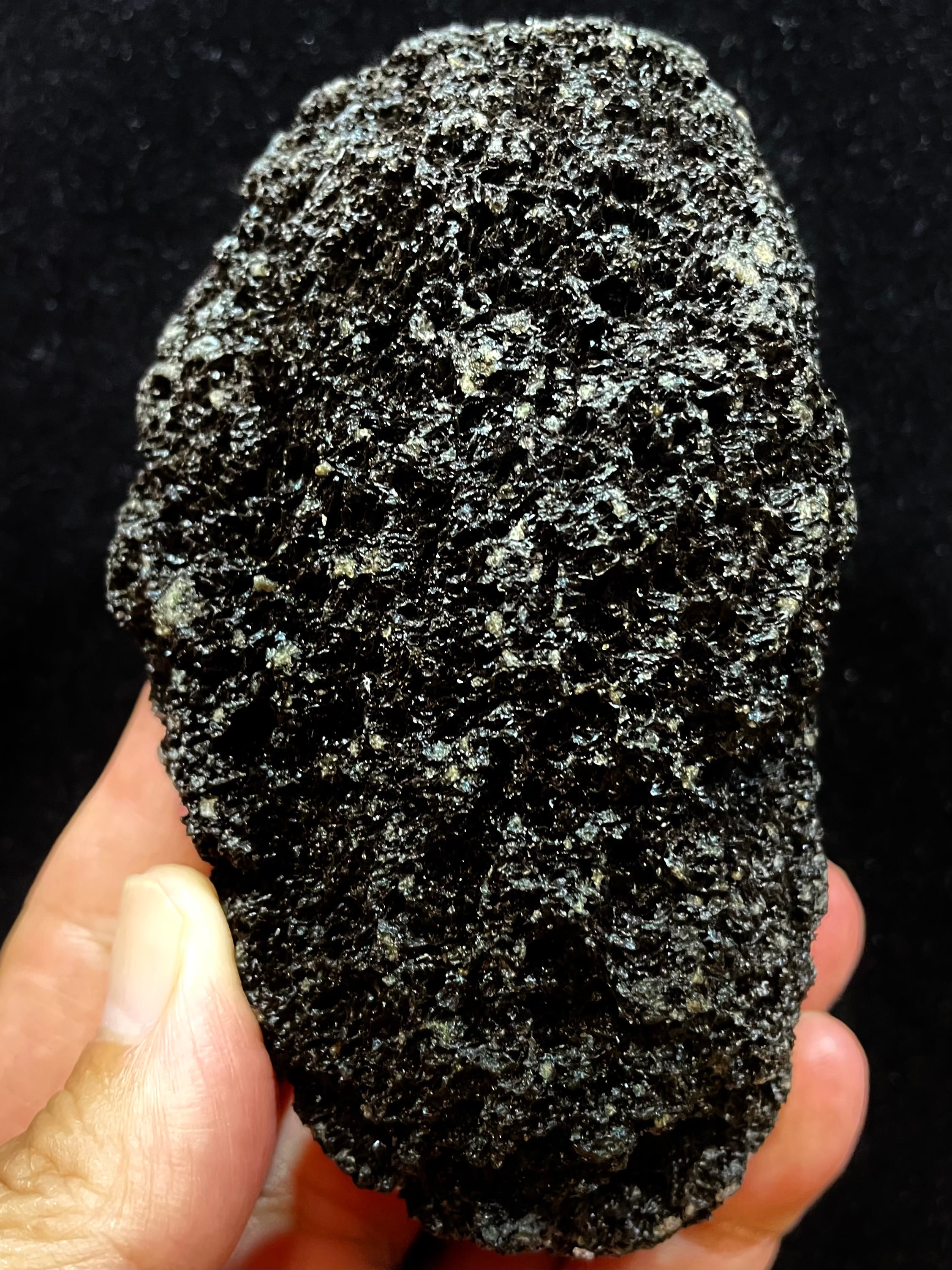 1) 超希少!南極「エレバス活火山溶岩石」