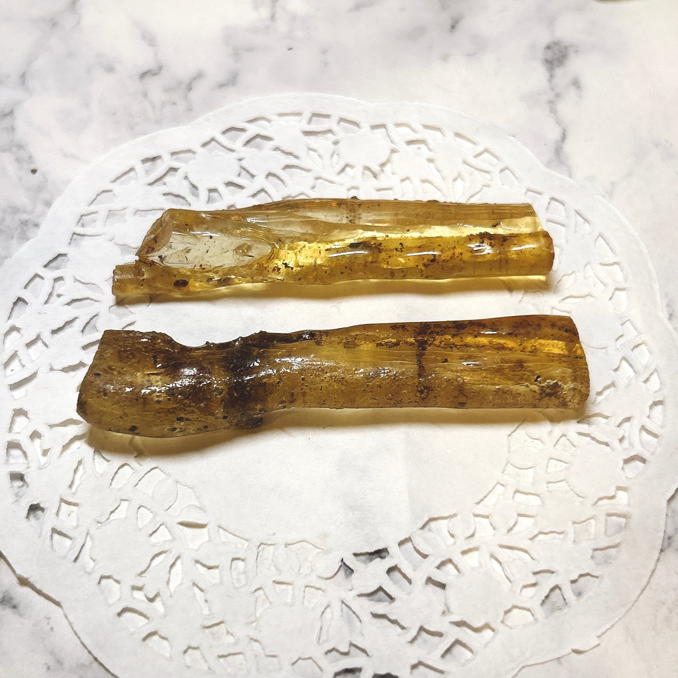 化石]琥珀・アンバー | クリスタル・ワールド御徒町店